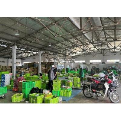 Tuyển dụng - tân bình - hồ chí minh | CẦN TUYỂN THÊM 5 NAM LÀM KHO KAMEREO TÂN ...