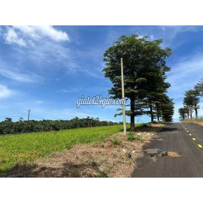 đất thổ cư - bảo lâm - lâm đồng | BÁN ĐẤT NỀN NGHỈ DƯỠNG BẢO LỘC  SỔ HỒNG RIÊNG, SANG TÊN ...