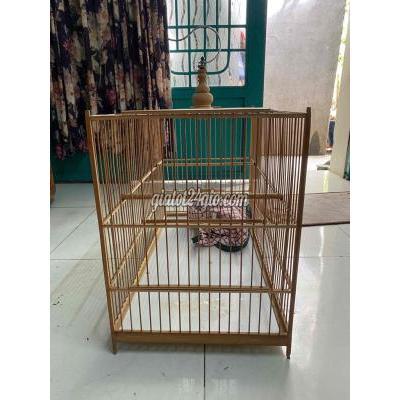 Phụ kiện, Thức ăn, Dịch vụ cho thú cưng quận 8 - hồ chí minh