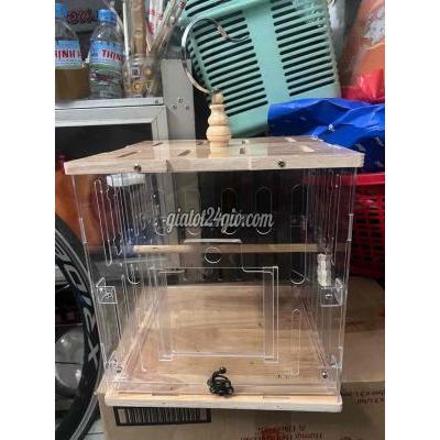 Phụ kiện, Thức ăn, Dịch vụ cho thú cưng - quận 12 - hồ chí minh | thanh lí lồng thuần ...