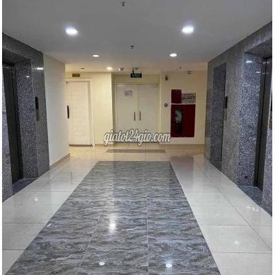 tuyển dụng quận 1 - hồ chí minh