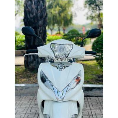 xe số - bình thạnh - hồ chí minh | SHARK SH ngọc trinh biển ... xe số - bình thạnh - hồ chí minh | SHARK SH ngọc trinh biển ...