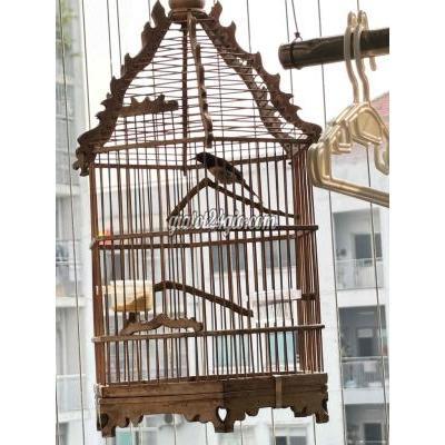 Chim ( Vật nuôi ) - quận 12 - hồ chí minh | bộ đà lạt bụng ...