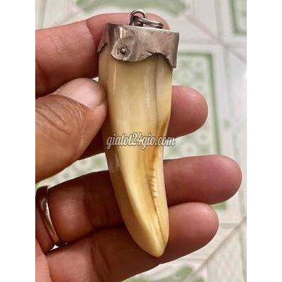 Trang Sức Cũ Bình Thạnh - Hồ Chí Minh Trang Sức Cũ Bình Thạnh - Hồ Chí Minh