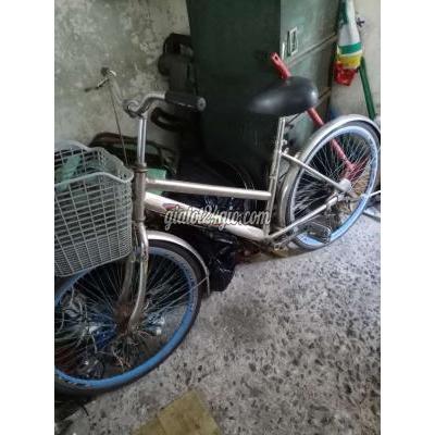 xe đạp - gò vấp - hồ chí minh | Xe đạp người lớn chắc chắn ...