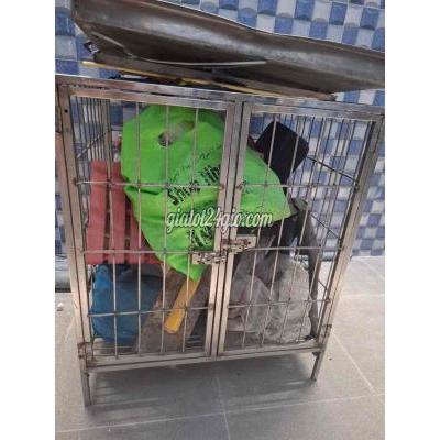 Đồ Dùng Cho Thú Cưng Cũ Quận 7 - Hồ Chí Minh Đồ Dùng Cho Thú Cưng Cũ Quận 7 - Hồ Chí Minh