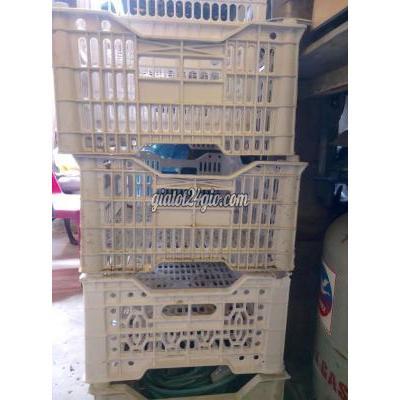 khay nhựa - củ chi - hồ chí minh | rổ sọt cần thanh ...