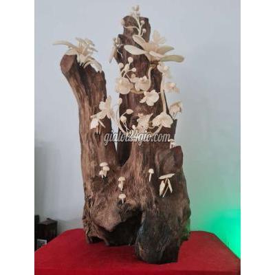 cây cảnh - ngũ hành sơn - đà nẵng | Bonsai ...