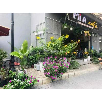 tuyển dụng - bình chánh - hồ chí minh | Tuyển nv Pha chế, phục ...