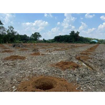 Đất Nền Đồng Xoài - Bình Phước Đất Nền Đồng Xoài - Bình Phước