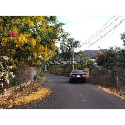 đất thổ cư - bảo lâm - cao bằng | Bán 250m2 đất sẵn thổ cư Thị Trấn Phước Hải - biển Phước ...