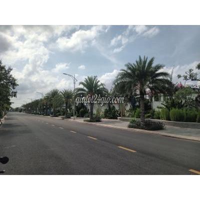 Nhà Đất Bến Lức Long An Đất Nền Nguyễn Hữu Trí Cao Tốc Bến Lức - Long Thành Nhà Đất Bến Lức Long An Đất Nền Nguyễn Hữu Trí Cao Tốc Bến Lức - Long Thành