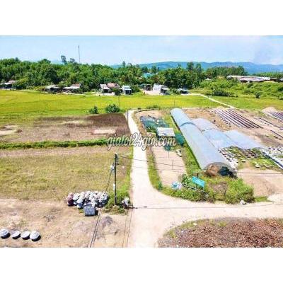 Đất Nông Nghiệp Hòa Vang - Đà Nẵng Đất Nông Nghiệp Hòa Vang - Đà Nẵng