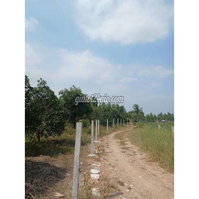 đất nông nghiệp - bình chánh - hồ chí minh | Bán lô đất đẹp DT: 1.174m2 đường vào 5m cầu bà tri ...