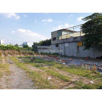 đất thổ cư - hóc môn - hồ chí minh | Đất full thổ DT 11x45m, đường 6m 1/Võ Thị Hồi, gần chợ đầu mối Hóc ...