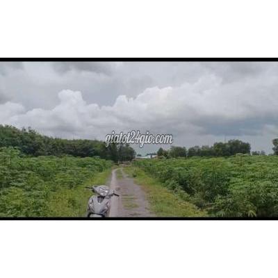 Đất Thổ Cư Châu Thành - Tây Ninh Đất Thổ Cư Châu Thành - Tây Ninh