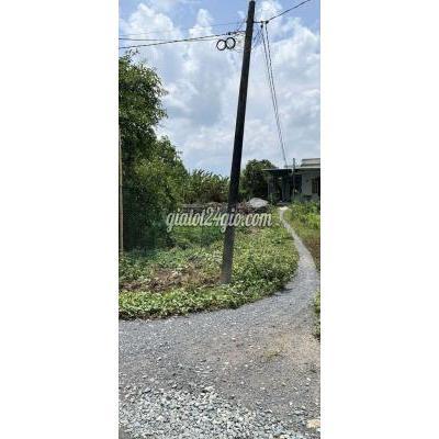 đất nông nghiệp - bình chánh - hồ chí minh | Chủ đang kẹt tiền cần bán ...