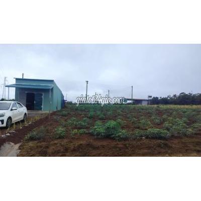 đất nông nghiệp - bảo lâm - cao bằng | 850tr 1 xào rưởi. Ngay trạm gthông qtin có sổ 2 ...