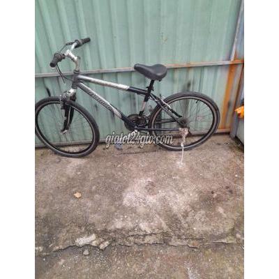 xe đạp - quận 12 - hồ chí minh | Bán Asama sườn nhôm bánh 26 chạy trơn hỏng ...