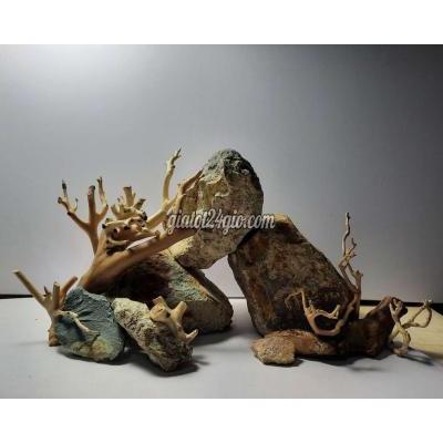 đồ dùng cho thú cưng - bình thạnh - hồ chí minh | Dùng cho hồ cá ...