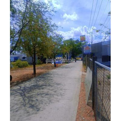 Đất Nông Nghiệp Cà Mau - Cà Mau Đất Nông Nghiệp Cà Mau - Cà Mau