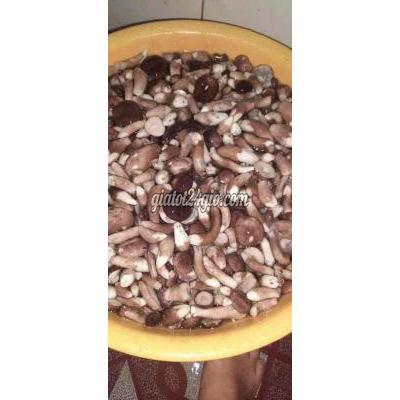 rau củ - xuân lộc - đồng nai | Nấm tràm Xuân Hưng số lượng buon bán số ... rau củ - xuân lộc - đồng nai | Nấm tràm Xuân Hưng số lượng buon bán số ...