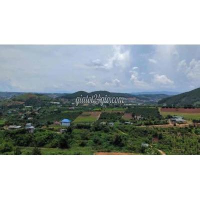 Đất Thổ Cư Đức Trọng - Lâm Đồng Đất Thổ Cư Đức Trọng - Lâm Đồng