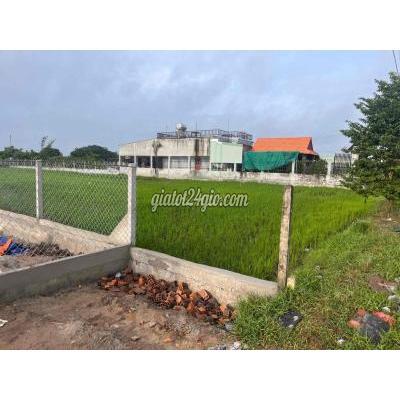 Đất Thổ Cư Đức Hòa - Long An Đất Thổ Cư Đức Hòa - Long An