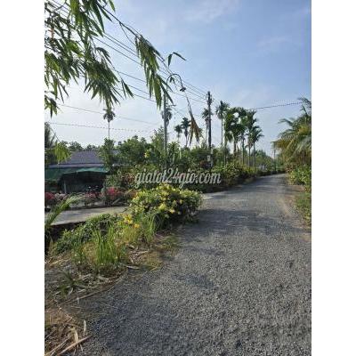 Đất Nông Nghiệp Mang Thít - Vĩnh Long Đất Nông Nghiệp Mang Thít - Vĩnh Long