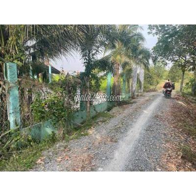 Đất Thổ Cư Đức Hòa - Long An Đất Thổ Cư Đức Hòa - Long An