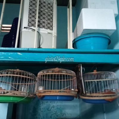 đồ dùng cho thú cưng - bến cát - bình dương | Lòng cu ...