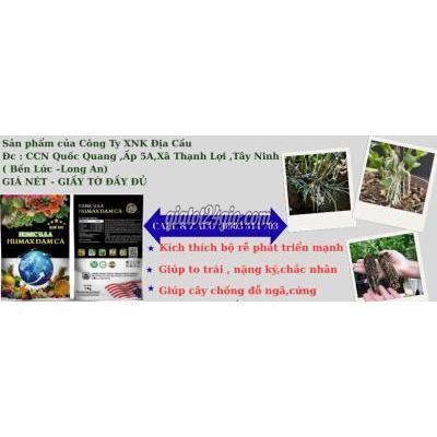 Nông Nghiệp, Hạt Giống, Cây Giống Châu Thành Long An Phân Phối Humic Dạng Vảy / Bột Xuất Xứ Canada Cho Npp / Nhà Vườn Giá T Nông Nghiệp, Hạt Giống, Cây Giống Châu Thành Long An Phân Phối Humic Dạng Vảy / Bột Xuất Xứ Canada Cho Npp / Nhà Vườn Giá T