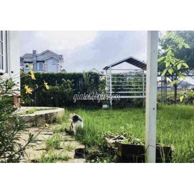 bán nhà - đà lạt - lâm đồng | Bán Lỗ Nhà Tâm Huyết 235m Có Sân Vườn Giá ... bán nhà - đà lạt - lâm đồng | Bán Lỗ Nhà Tâm Huyết 235m Có Sân Vườn Giá ...