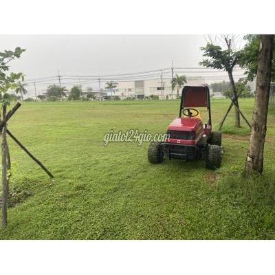 dịch vụ long thành đồng nai | dịch vụ cắt cỏ phát... dịch vụ long thành đồng nai | dịch vụ cắt cỏ phát...