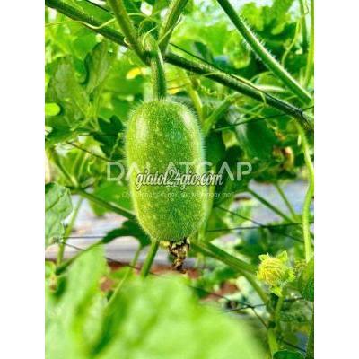 Tuyển Dụng Tân Bình - Hồ Chí Minh Tuyển Dụng Tân Bình - Hồ Chí Minh