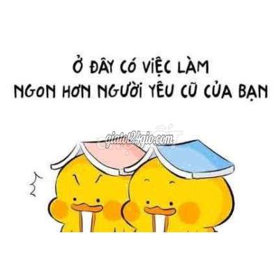 tuyển dụng - đức huệ - thừa thiên huế | Cần tuyển nhân viên Photocopy In ... tuyển dụng - đức huệ - thừa thiên huế | Cần tuyển nhân viên Photocopy In ...