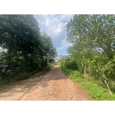 đất nông nghiệp bảo lâm - cao bằng