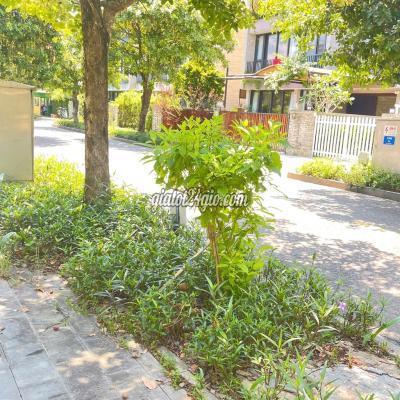 Đất Thổ Cư Thăng Bình - Quảng Nam Đất Thổ Cư Thăng Bình - Quảng Nam
