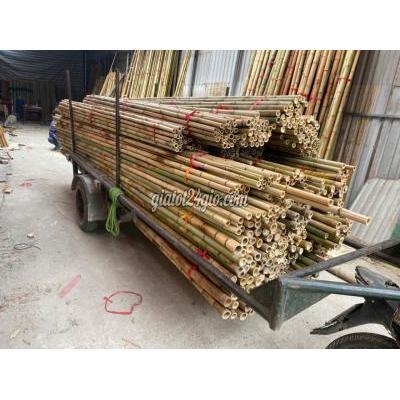 Trò Chơi, Giả Trí, Máy Chơi Game Cũ Hà Đông Hà Nội Múa Sạp Dụng Cụ Nhảy Sạp Cho Thuê Đạo Cụ Múa Sạp Trò Chơi, Giả Trí, Máy Chơi Game Cũ Hà Đông Hà Nội Múa Sạp Dụng Cụ Nhảy Sạp Cho Thuê Đạo Cụ Múa Sạp