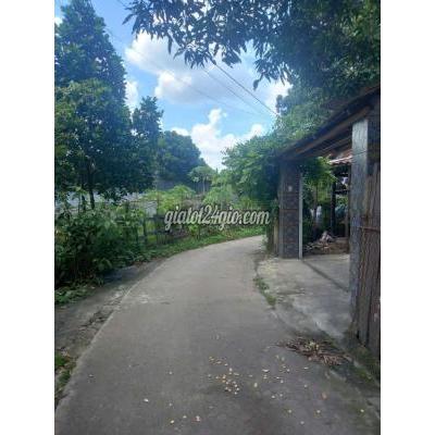Đất Thổ Cư Thủ Dầu Một - Bình Dương Đất Thổ Cư Thủ Dầu Một - Bình Dương