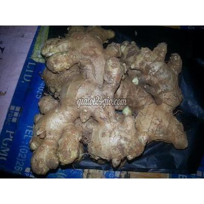 rau củ, ngũ cốc gò công đông tiền giang | điểm bán... rau củ, ngũ cốc gò công đông tiền giang | điểm bán...