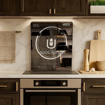 đồ điện nhà bếp, nồi cơm điện, bếp từ hoài...