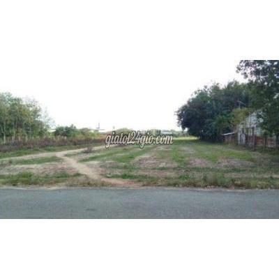 nhà đất bến lức long an | lô đất 7x22 nở hậu 75m...