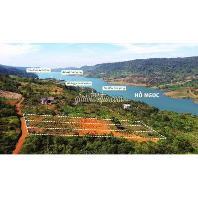 nhà đất bảo lâm lâm đồng | lô lớn 2594m có 700m...