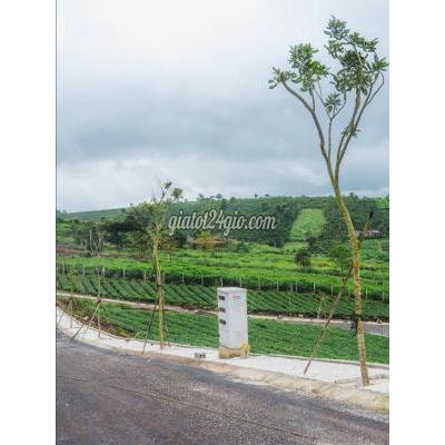 nhà đất bảo lâm lâm đồng | giá tốt hôm nay đất...