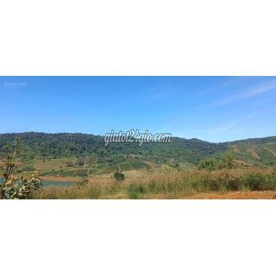 đất thổ cư bảo lâm lâm đồng | 598m giá rẻ bất...