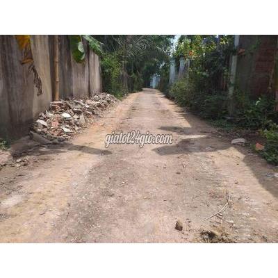 đất thổ cư - đại lộc - quảng nam | Chính chủ bán lỗ lô đất giá rẻ nhất thị trường không qua trung ...