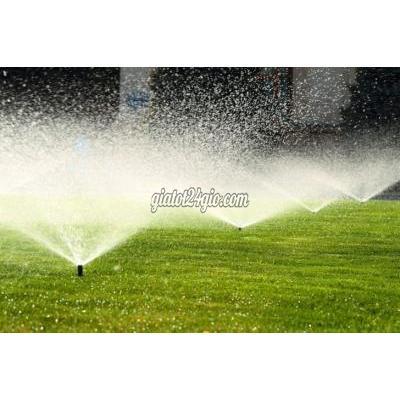 cây cảnh biên hòa đồng nai | chăm sóc cảnh quan kcn...