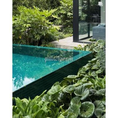 cây cảnh biên hòa đồng nai | bảo dưỡng cảnh quan...