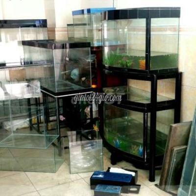 đồ dùng cho thú cưng - tân bình - hồ chí minh | Bán Hồ ...